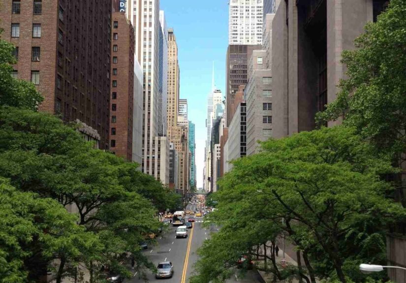 tree-architecture-sky-road-skyline-street-1087245-pxhere.com